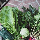 Starting Your Fall Garden: 12 Beginner-Friendly Herbs and Vegetables