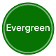Evergreen