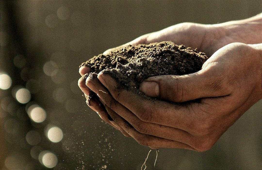 bokeh photography of person carrying soil