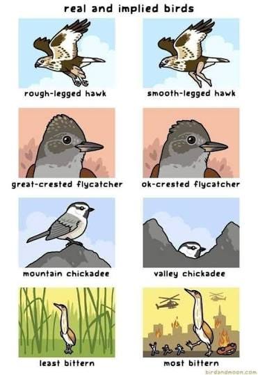 A cartoon chart of "Real and Implied Birds." It shows drawings of real birds and the imaginary birds that their names imply. There is a rough-legged hawk and its fictional smooth-legged hawk (with human legs), the great-crested flycatcher and the ok-crested flycatcher; the mountain chickadee and implied valley chickadee; and the least bittern (shown among the grasses) and the most bittern (shown overtaking an apocalyptic landscape) A cartoon chart of "Real and Implied Birds." It shows drawings of real birds and the imaginary birds that their names imply. There is a rough-legged hawk and its fictional smooth-legged hawk (with human legs), the great-crested flycatcher and the ok-crested flycatcher; the mountain chickadee and implied valley chickadee; and the least bittern (shown among the grasses) and the most bittern (shown overtaking an apocalyptic landscape)