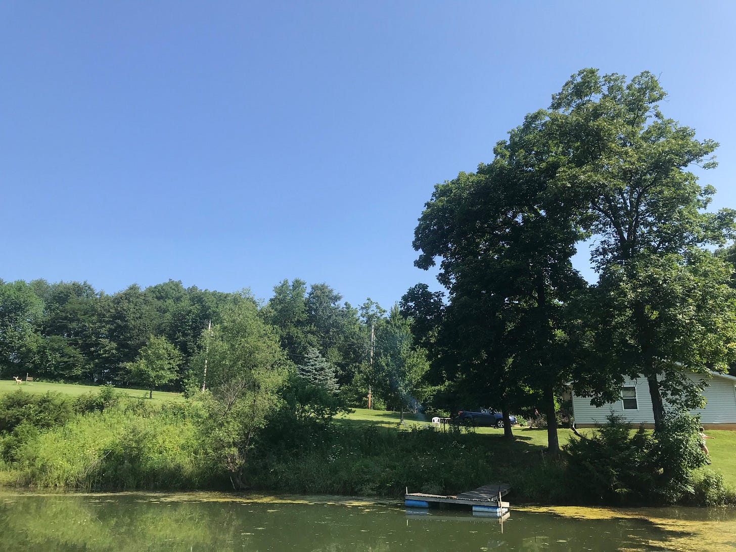 A pond and small house