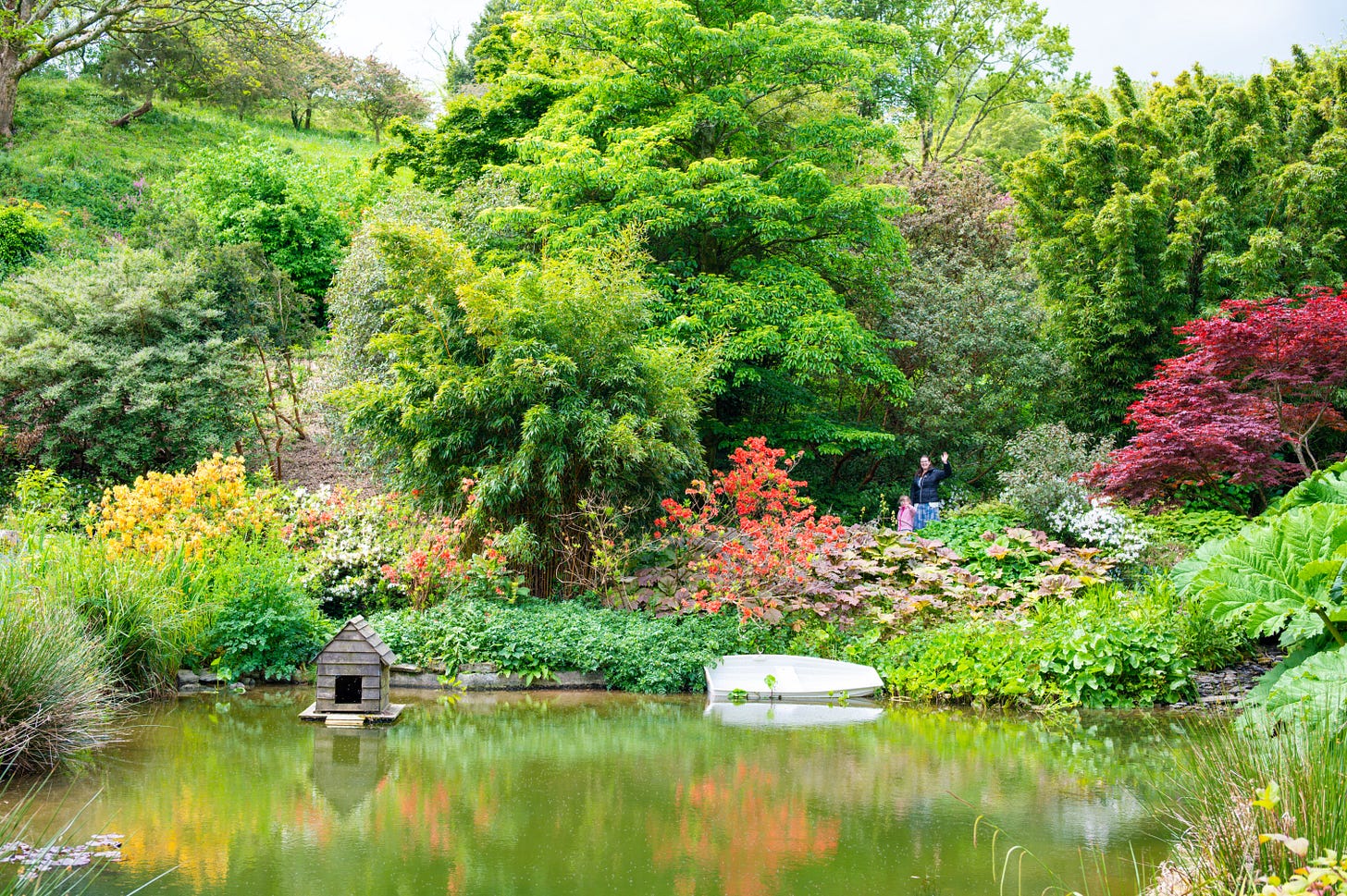 Coleton Fishacre Coleton Fishacre