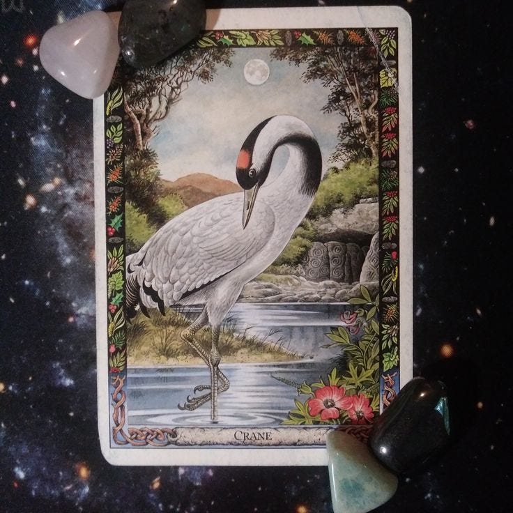 Druid Animal Oracle Card