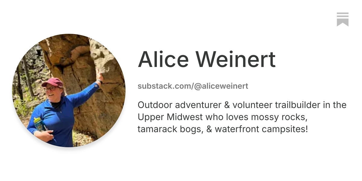 Alice Weinert | Substack