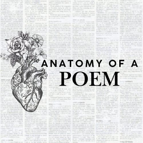 Anatomy of a Poem