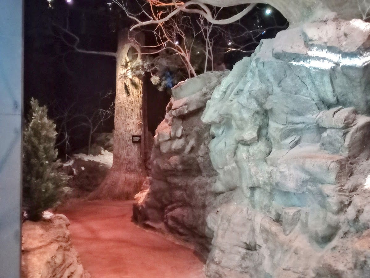 Replica of forest, with rocky wall, trees, and dirt trail Replica of forest, with rocky wall, trees, and dirt trail