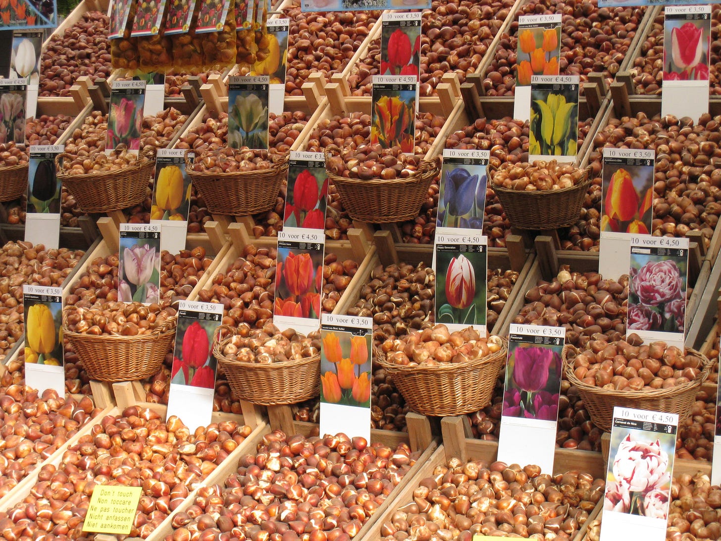 Bloemenmarkt, Amsterdam, The Netherlands