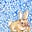Bunni Spiegelman's avatar