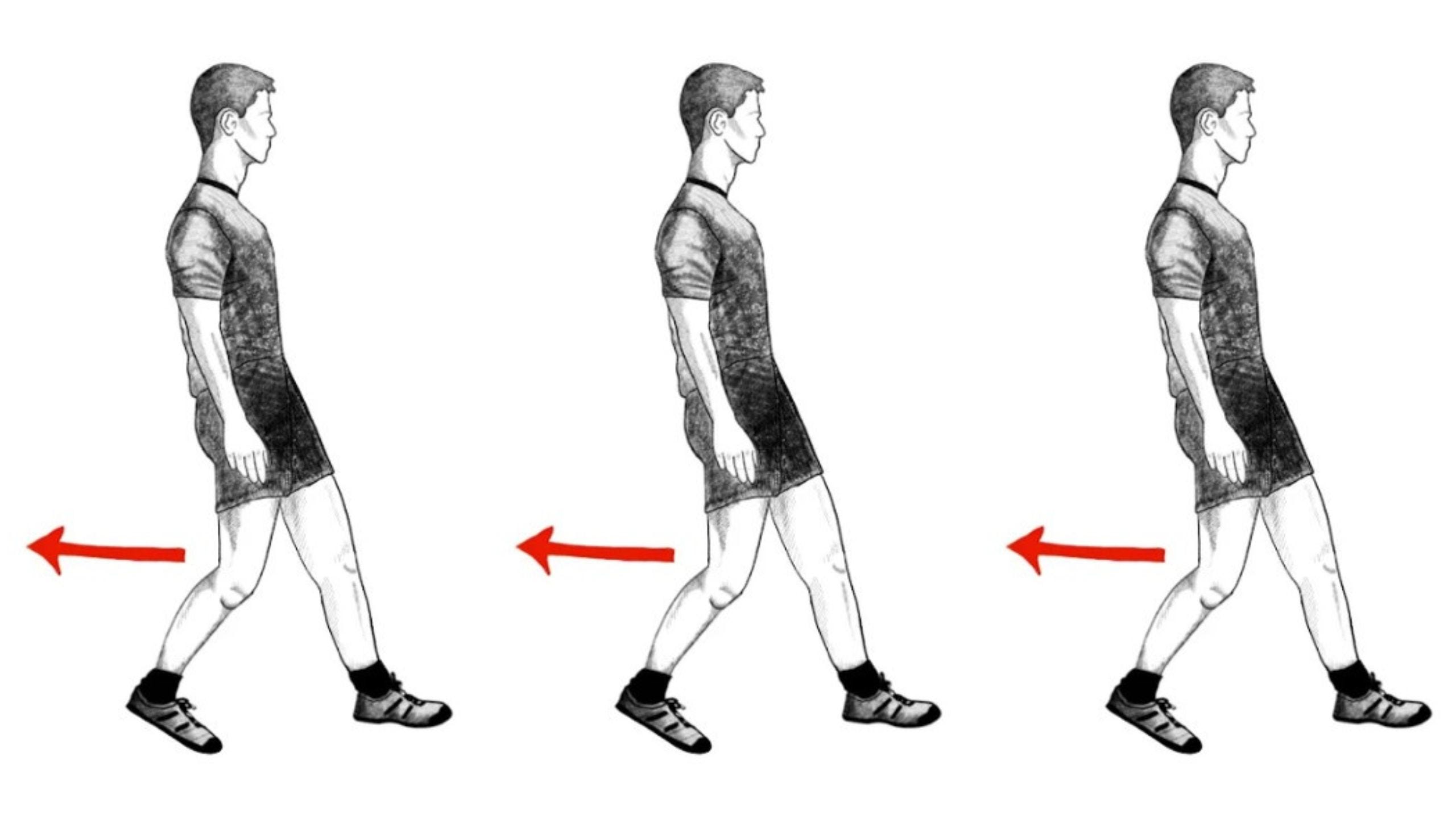 Walking Backwards - Spiritual Reflections by Marshall Davis, image size:2560x1440