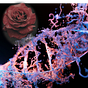 Feminist Science's avatar