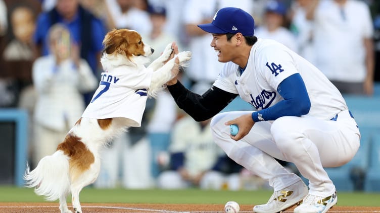 Baltimore Orioles v Los Angeles Dodgers Baltimore Orioles v Los Angeles Dodgers