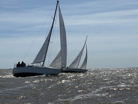 sailboats racing on Mobile Bay