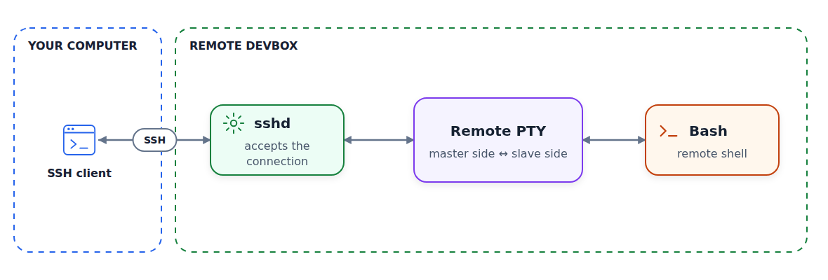 An SSH connection crosses from an SSH client on the local computer to sshd on the remote devbox, where sshd opens a separate PTY for Bash