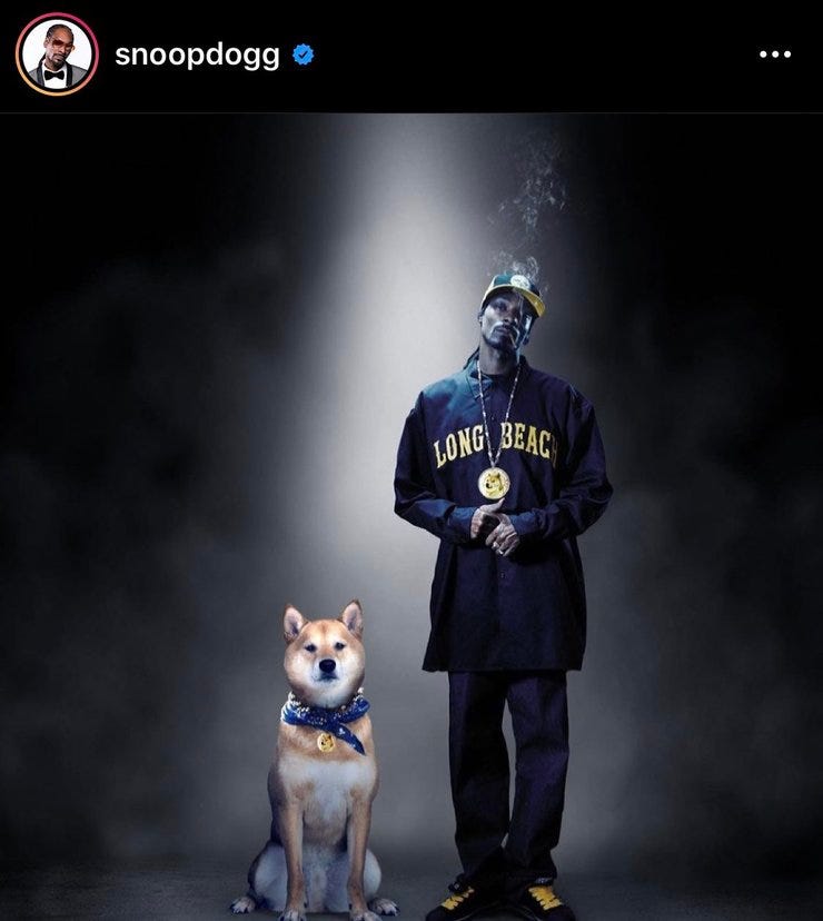 Snoop posted this picture of him decked out in Dogecoin bling