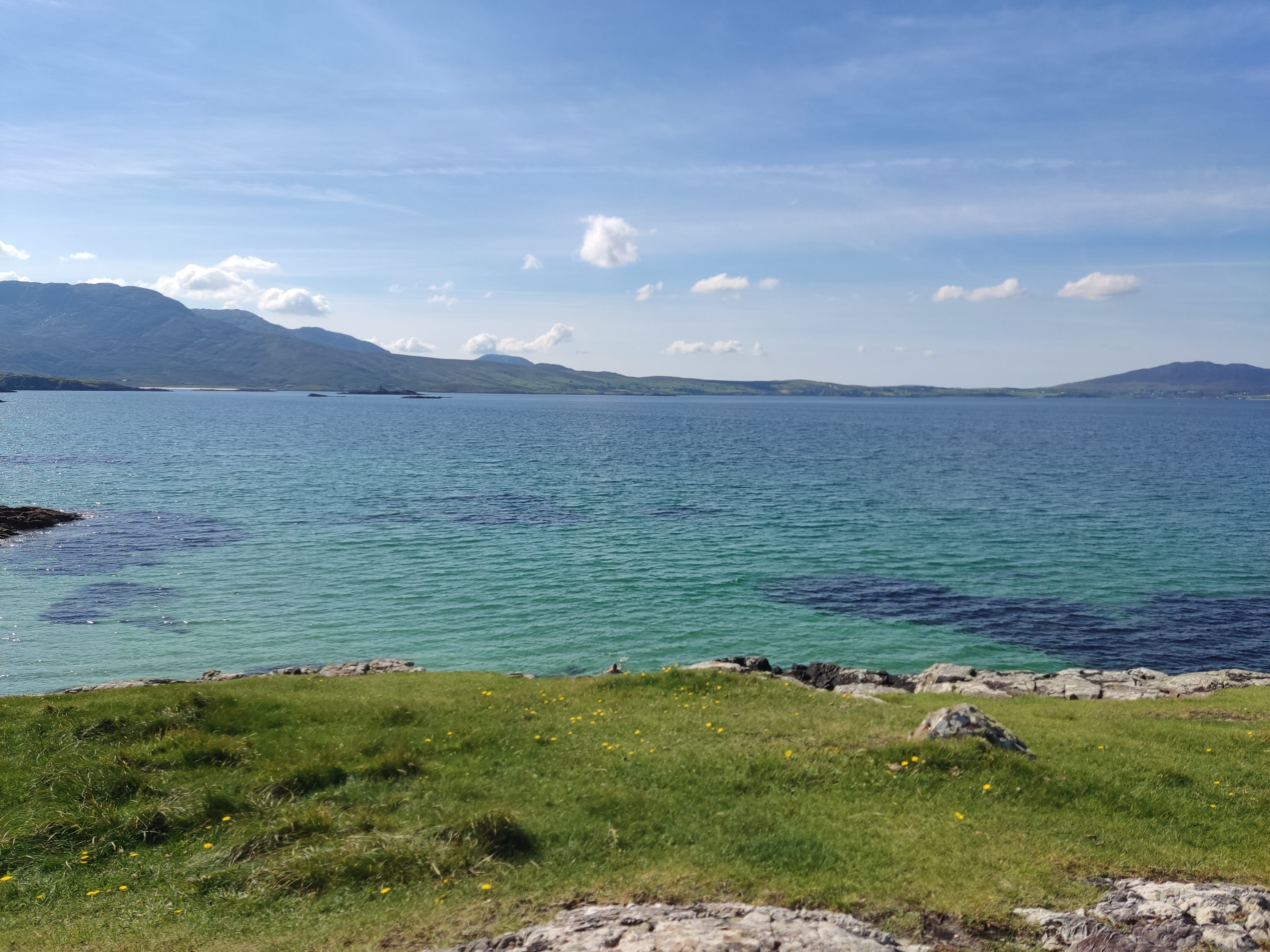 Avondale’s Substack