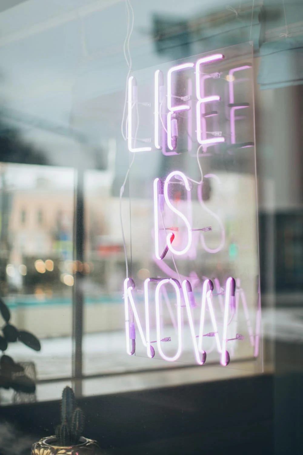 Life is now neon sign from pexels Photo by Elina Fairytale: https://www.pexels.com/photo/life-is-now-neon-signage-3811074/