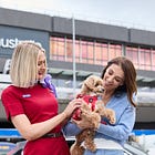 Pampered pooches take to the sky
