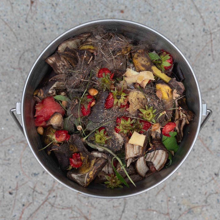 Diptych: Both photos show an aerial view of a compost bucket. Both contain a mix of food scraps, including red stuff - - tomatoes in one, strawberries in the other.