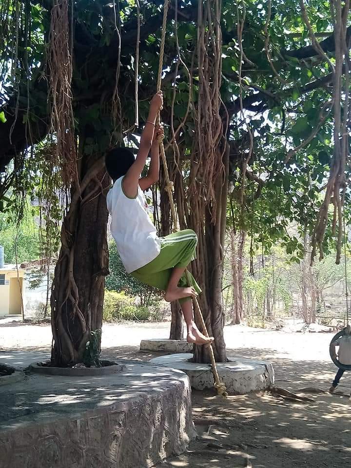 Photo of author climbing a vine hanging from a tree Photo of author climbing a vine hanging from a tree