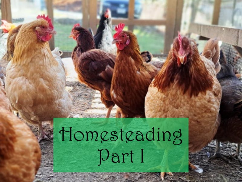 Homesteading Part I