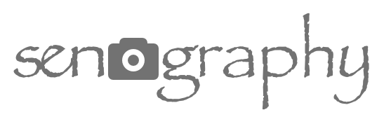 Substack profile picture for @smorgasbord