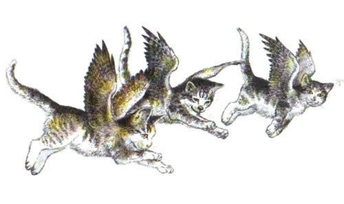 Catwings by Ursula K. Le Guin | Goodreads
