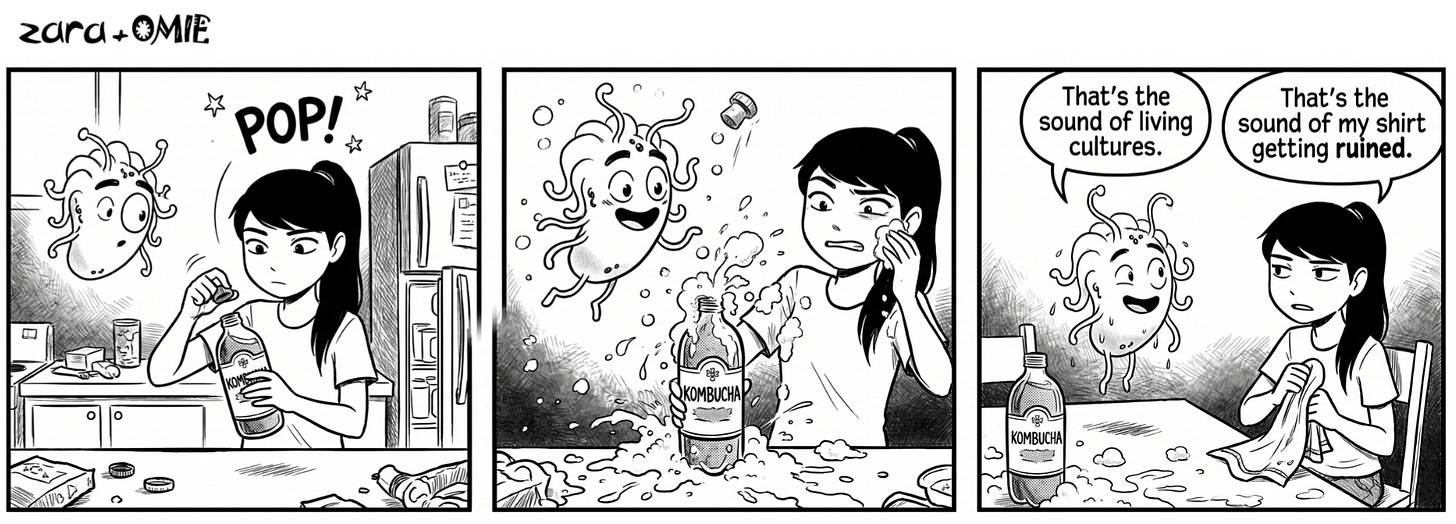 Kombucha overflows everywhere. Omie is delighted. Zara is not.