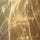 Lymphatic Glow