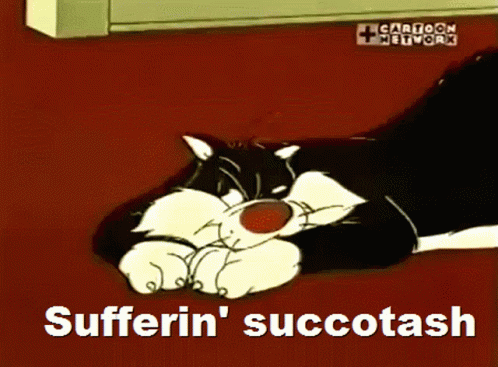 Sylvester Cat GIF (Provided by Tenor)