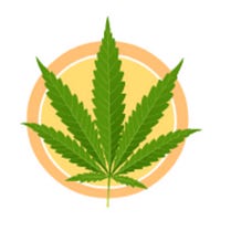 Tudo Sobre Cannabis