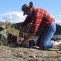 macFhiodhbhuidhe's avatar