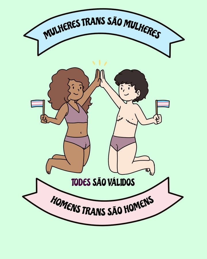 Ilustração com o texto mulheres trans são mulheres; todes são válidos; homens trans são homens. Ao centro duas pessoas, uma negra com cabelo longo usando top e peça de baixo; outra branca, cabelo curto e branco, e usando peça de baixo. Ilustração com o texto mulheres trans são mulheres; todes são válidos; homens trans são homens. Ao centro duas pessoas, uma negra com cabelo longo usando top e peça de baixo; outra branca, cabelo curto e branco, e usando peça de baixo.
