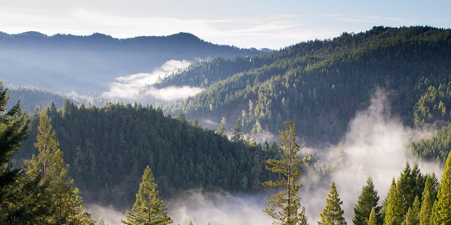 Fresh Air Educators, Inc. | LinkedIn