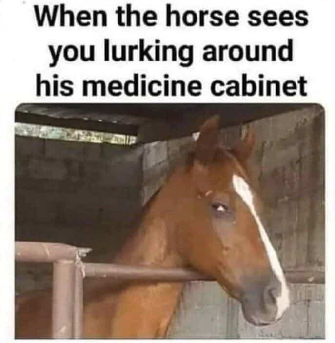 Hilarious Memes about People Taking Ivermectin Instead of the COVID-19 ...