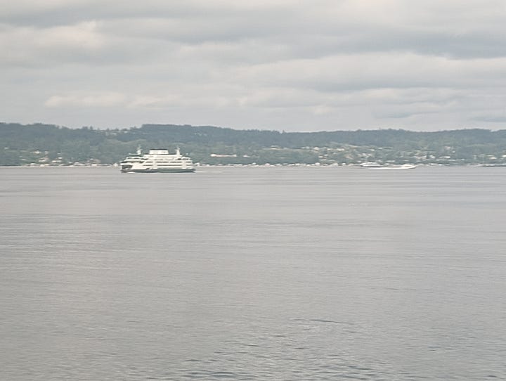 looking down the train, minot public library, minot train station, national park ranger, seattle ferry