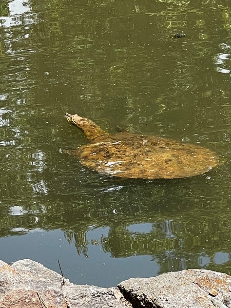 images from the birmingham botanical gardens