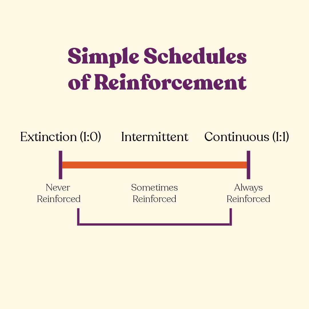 A diagram titled 'Simple Schedules of Reinforcement' showing a horizontal spectrum with Extinction (1:0) on the left, labeled 'Never Reinforced,' and Continuous (1:1) on the right, labeled 'Always Reinforced.' Intermittent reinforcement sits in the middle of the spectrum, labeled 'Sometimes Reinforced.' A diagram titled 'Simple Schedules of Reinforcement' showing a horizontal spectrum with Extinction (1:0) on the left, labeled 'Never Reinforced,' and Continuous (1:1) on the right, labeled 'Always Reinforced.' Intermittent reinforcement sits in the middle of the spectrum, labeled 'Sometimes Reinforced.'