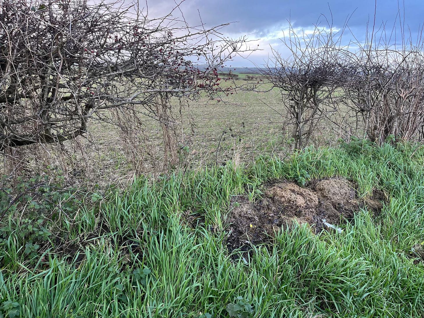 My parents found a body in a ditch... - by Alix O'Neill