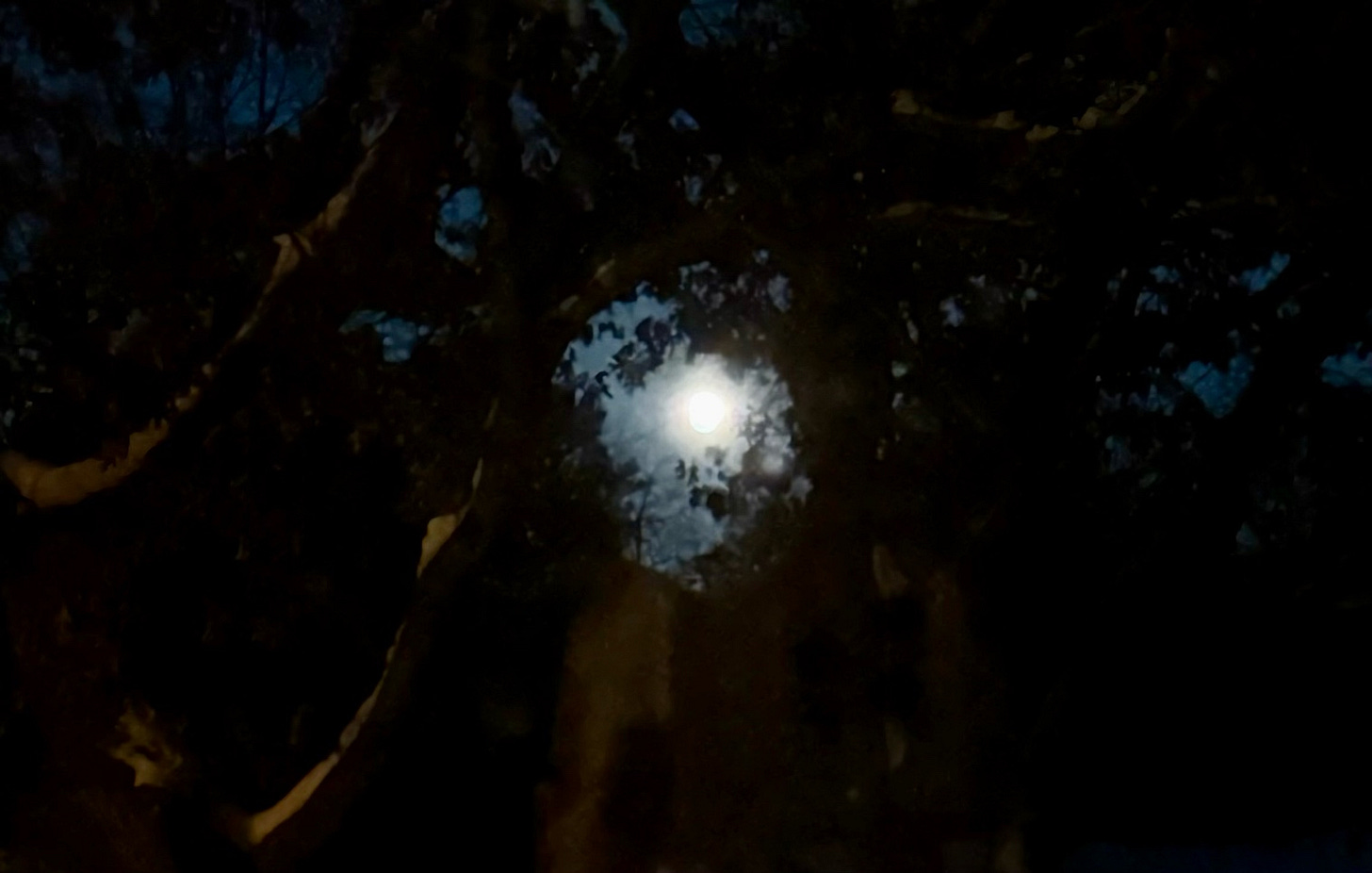 A bright light in the dark

AI-generated content may be incorrect.