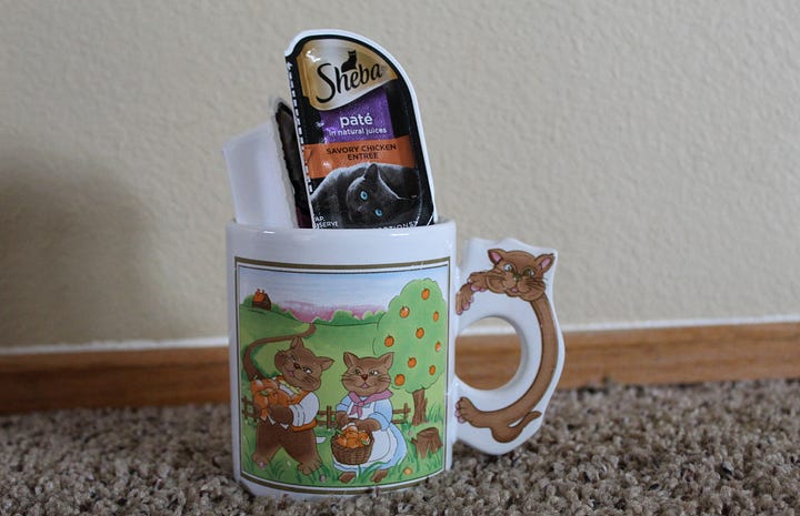 cat with mug and food