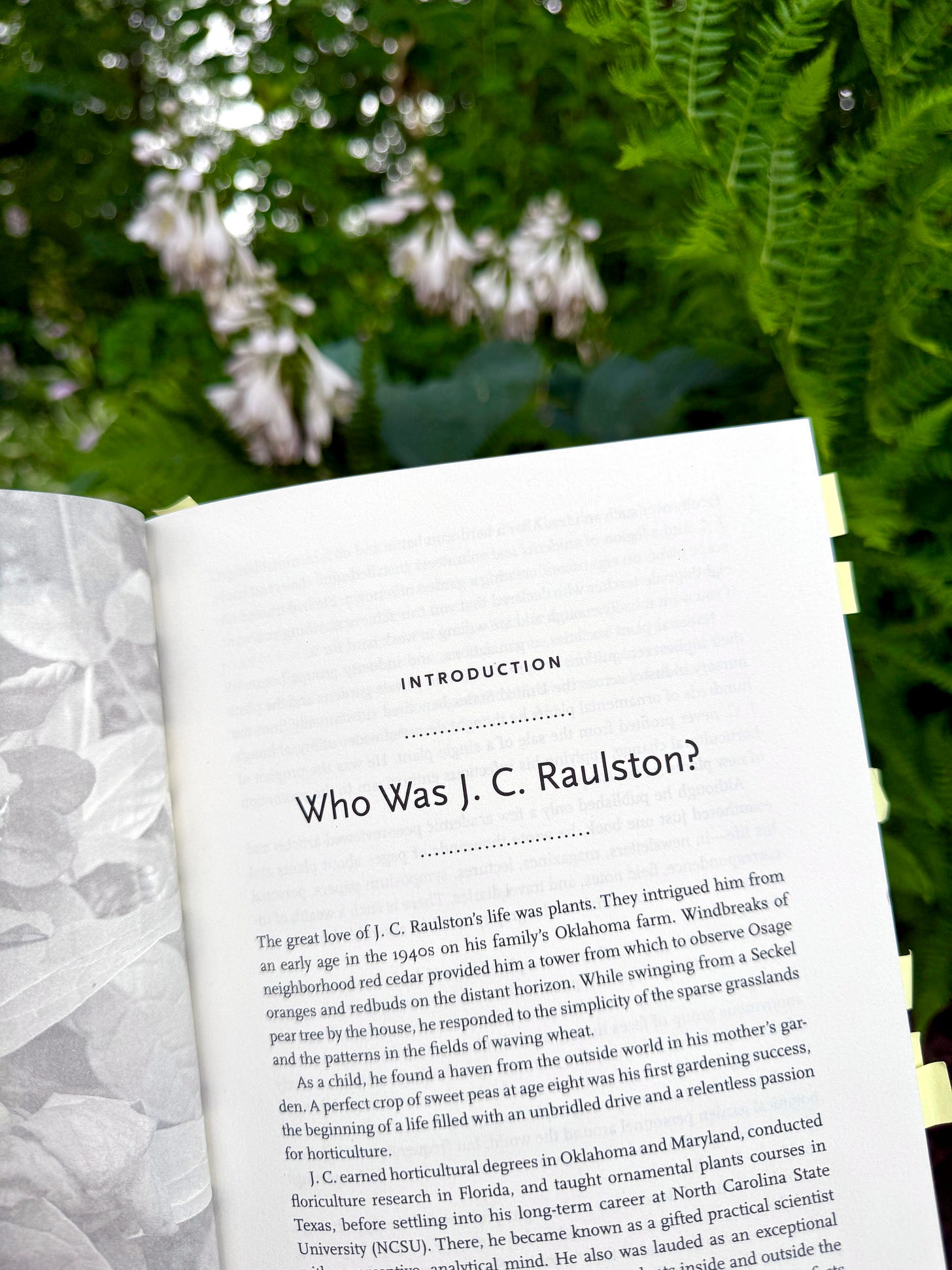 Forewords by Tony Avent and Sir Roy Lancaster are followed up an introduction of Raulston by Bobby Ward. 