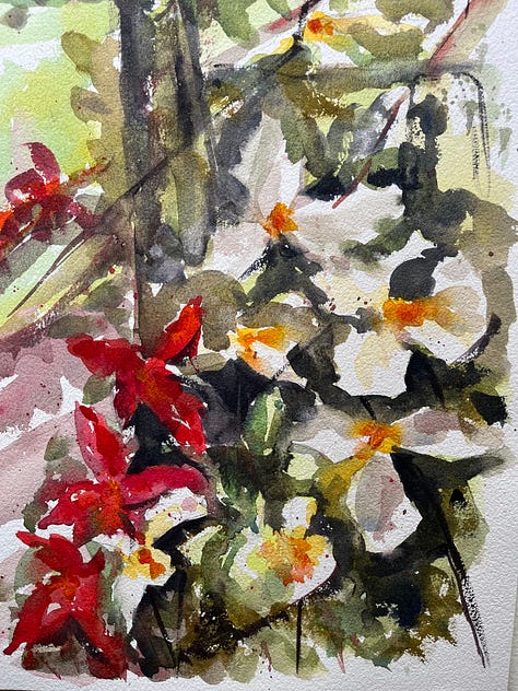 Photos And paintings from a week long art retreat by painter tom shepherd