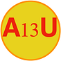 A13U's avatar