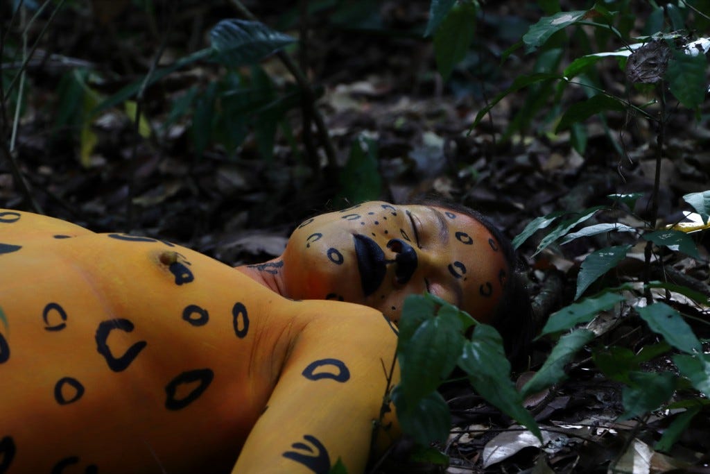 Imagem do filme “Ibirapema”