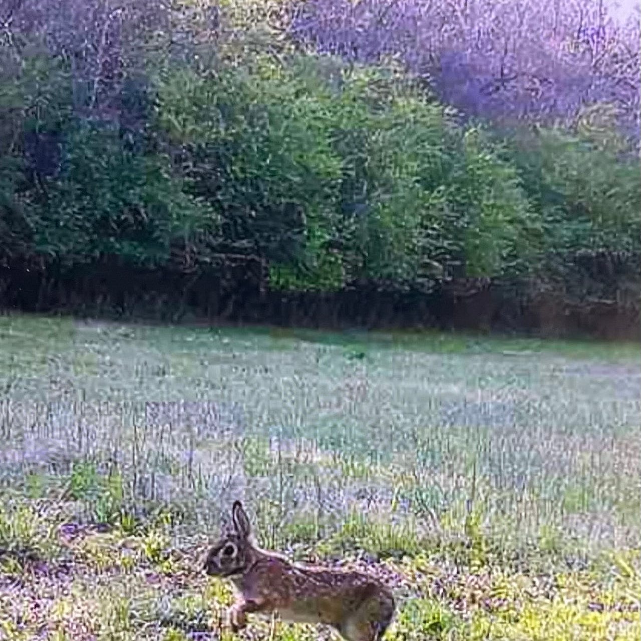 Tinabeth’s Substack