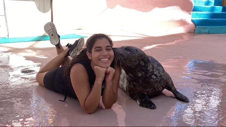 Rebecca is on the wet floor of the Miami Seaquarium next to a stage with a pool. She is lying on her stomach, smiling with her chin in her hands and her legs crossed. Ace, a small seal, is on the right of the photo.