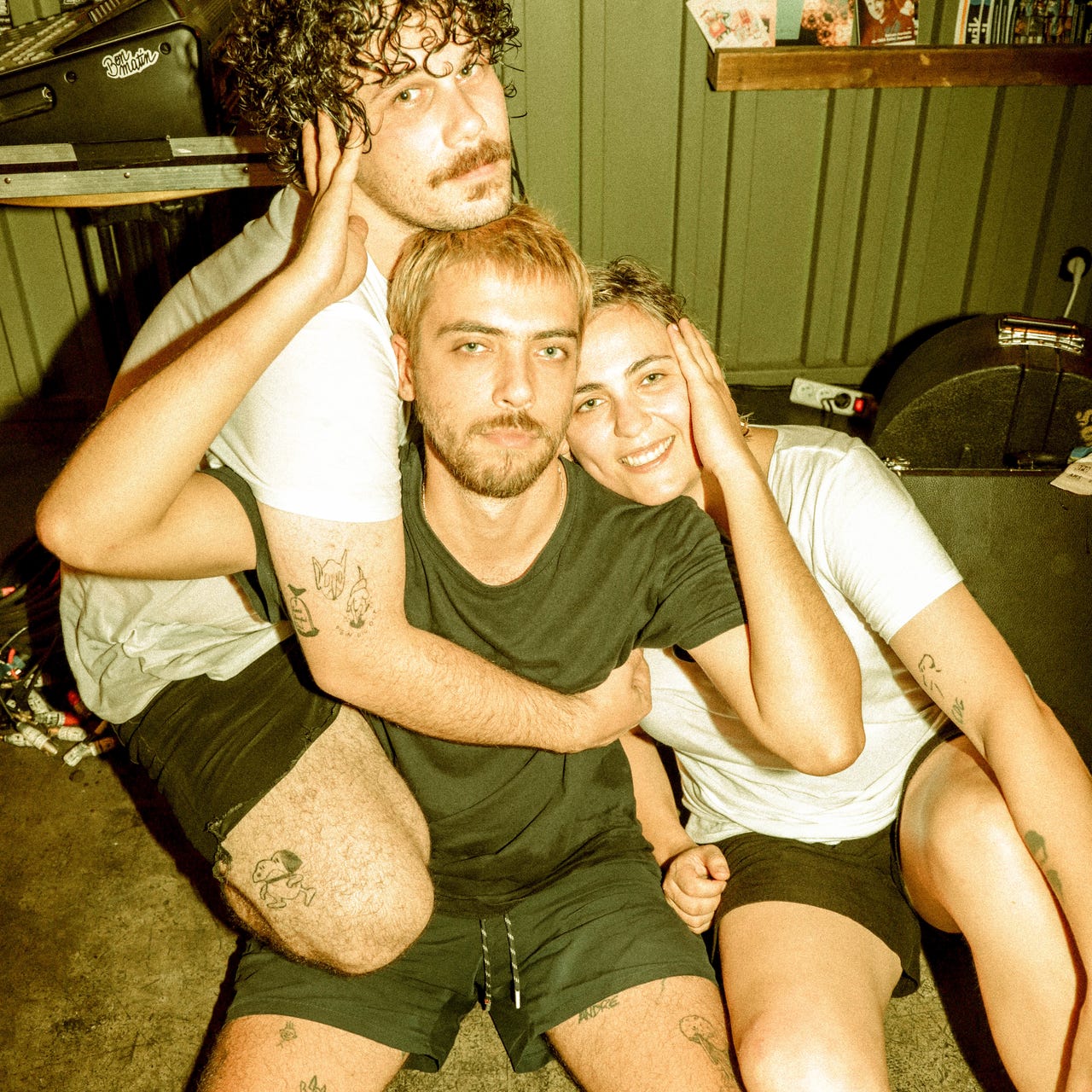 EVERYTHING ELECTRIC, a Sunflowers (the band) newsletter