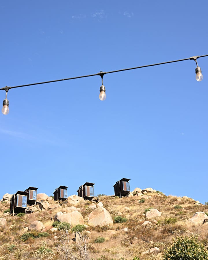 encuentro guadalupe in valle de guadalupe, mexico photographed by danielle g. adams
