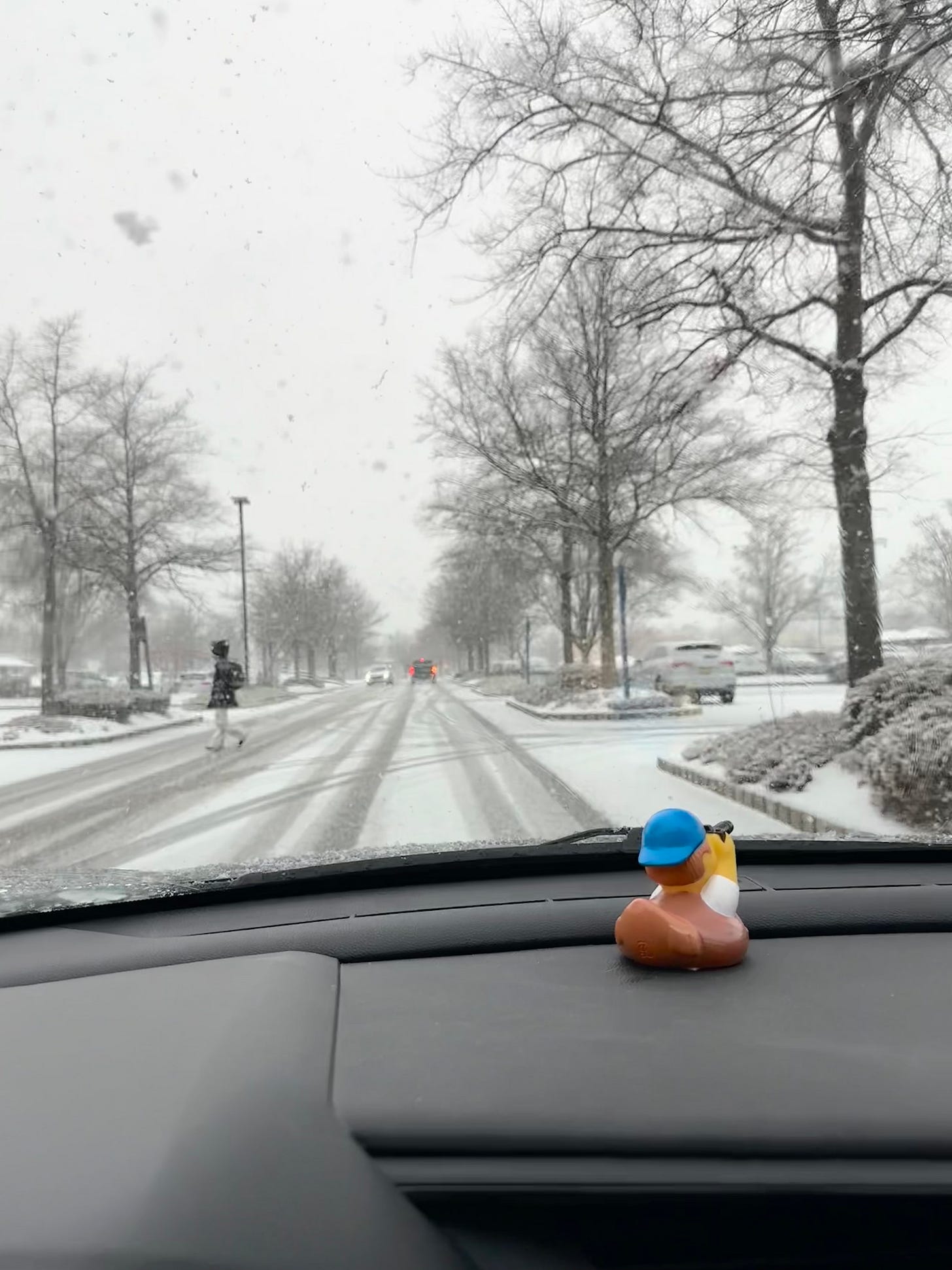 heavy snow falling, a snow-covered parking lot and trees with snow on their branches