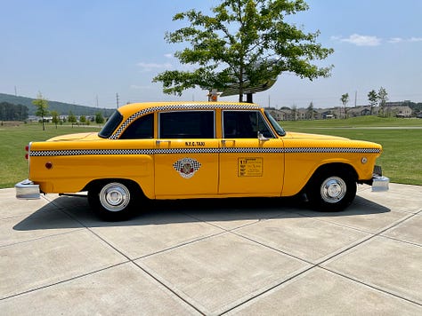 museum, exhibits, trees, sidewalk, interior